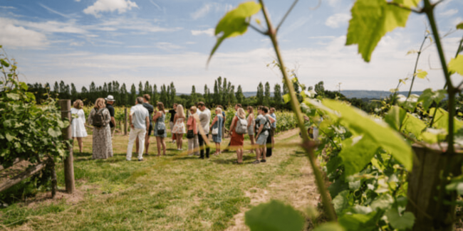 English Wine Week: Discover English Vineyards and their Wonderful Wines | KJET Aircraft Management